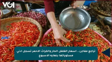 تراجع مفاجئ.. أسعار الفلفل الحار والكراث الأحمر تسجل أدنى مستوياتها بنهاية الأسبوع